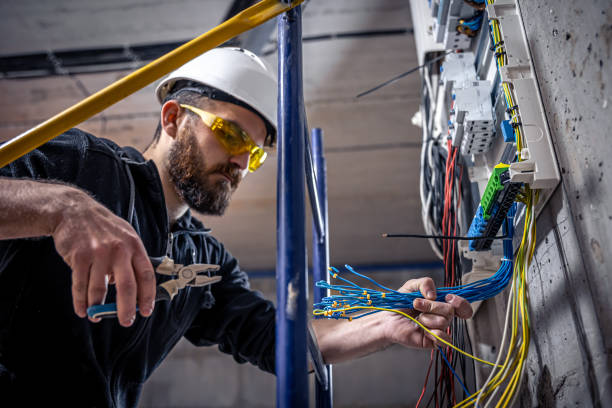 Best Electrical Rewiring Services  in Davison, MI