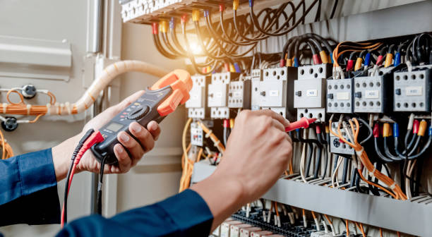 Best Electrician for Home Renovation  in Davison, MI