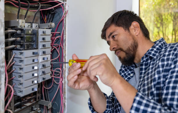 Best Electrician Near Me  in Davison, MI